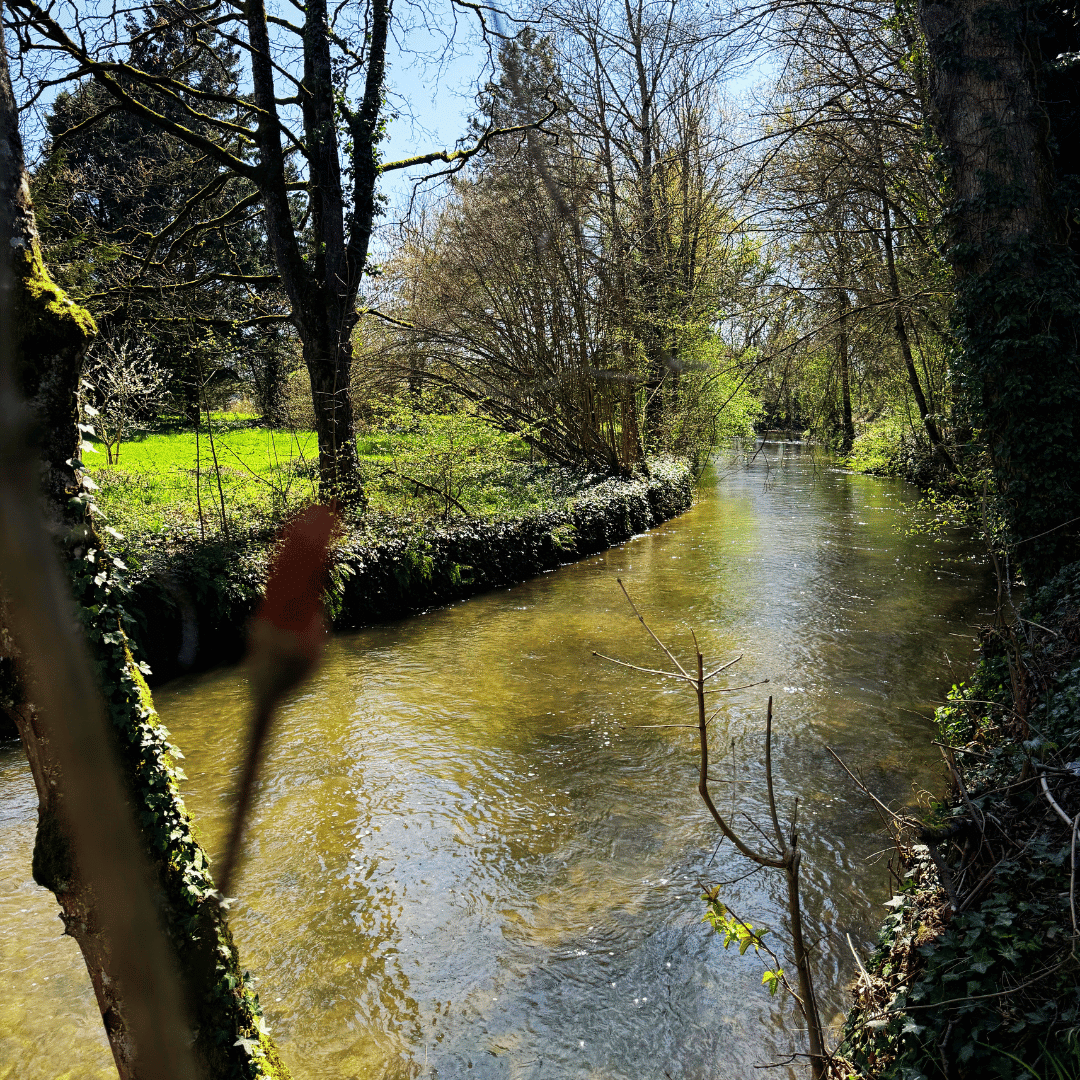 insta printemps